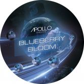 Apollo 200 гр - Blueberry Bloom (Черника)