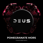 Deus 100 гр - Pomegranat Mors (Гранатовый Морс)
