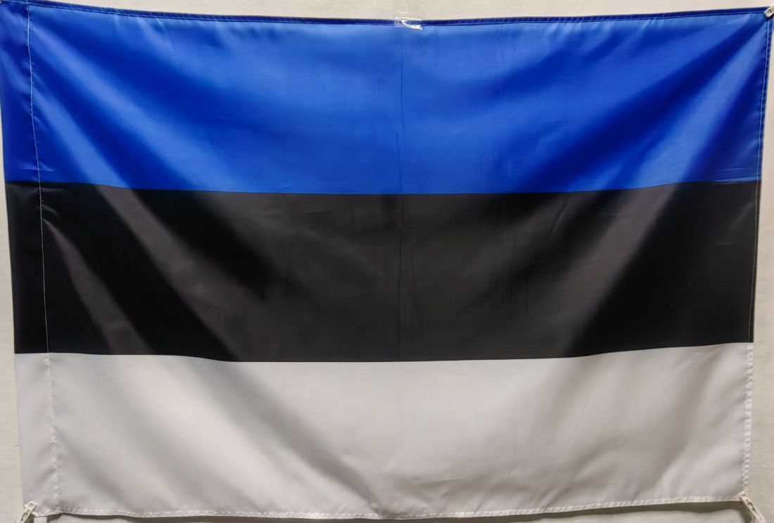 Флаг Эстонии 135х90см.