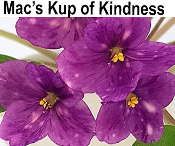 Mac`s Kup of Kindness (G. McDonald)