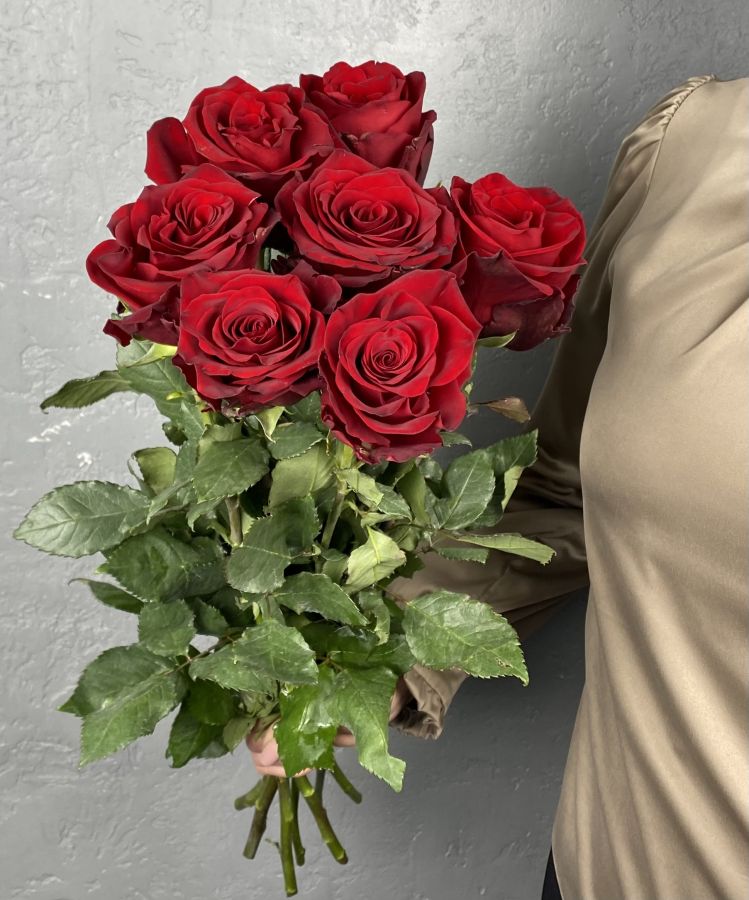 Красные розы Эквадор от 5 шт (60 см)