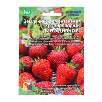 Семена Земляника"Диво дивное" , 10 шт