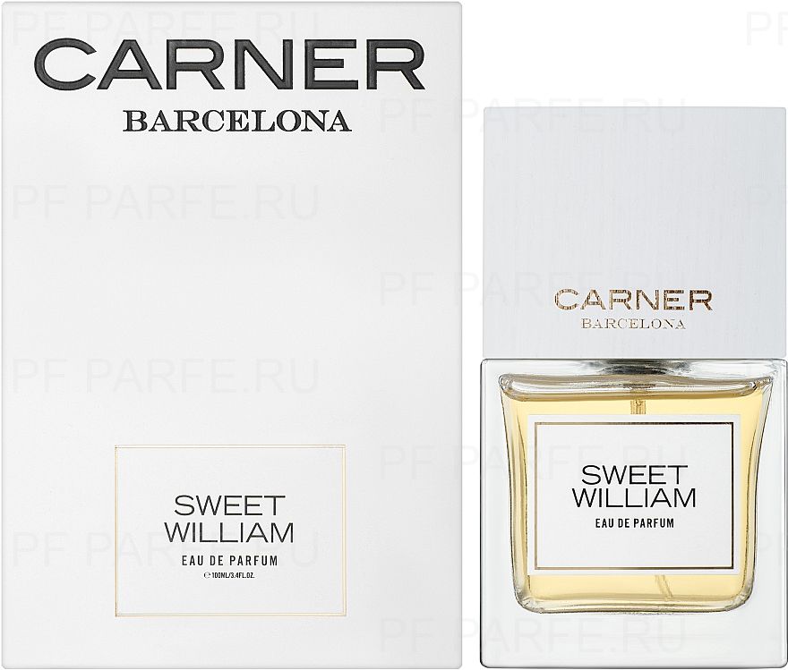 Carner Barcelona Sweet William