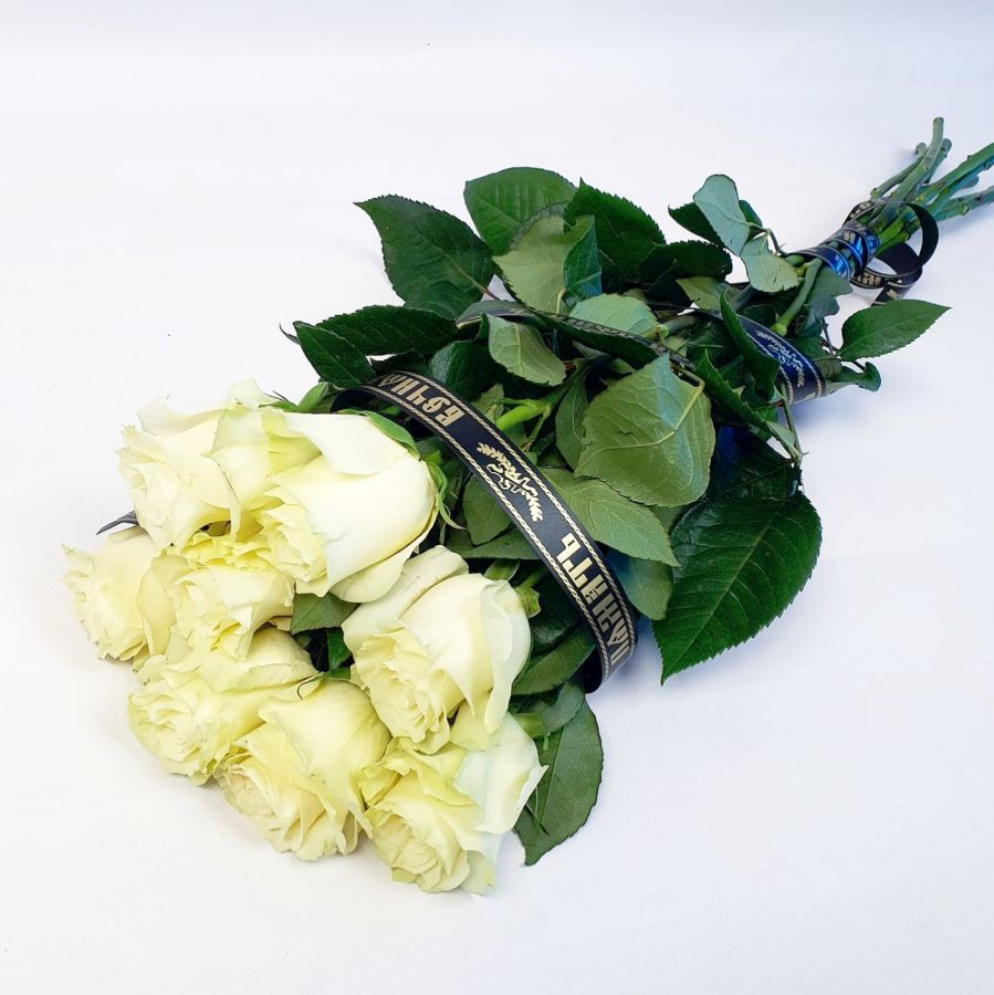 8 высоких крупных белых роз с лентой