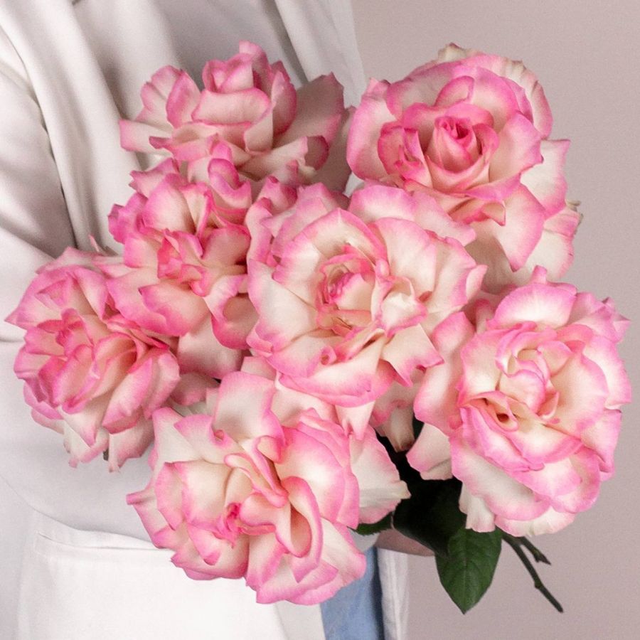 Букет из 7 розовых французских роз