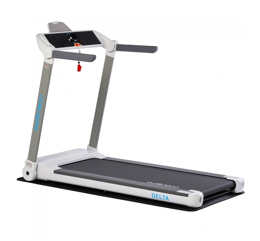 EVO FITNESS Delta NEW