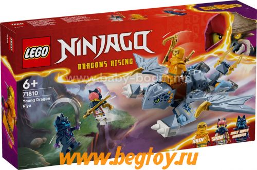 Конструктор LEGO NINJAGO 71810