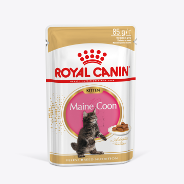 Royal Canin MAINE COON KITTEN (МЕЙН КУН КИТТЕН) Корм консервированный полнорационный для кошек - Специально для котят породы Мэйн Кун в возрасте до 15 месяцев, мелкие кусочки в соусе.