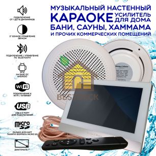 Комплект домашней акустической системы с караоке-усилителем Steam & Water SOUND 2 Standart