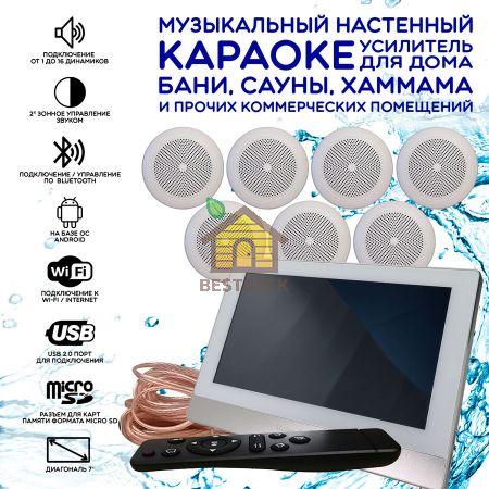 Комплект домашней акустической системы с караоке-усилителем Steam & Water SOUND 7 Standart