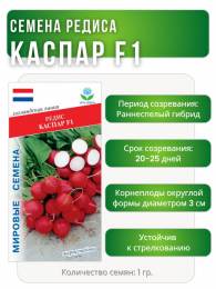 Редис Каспар F1, Мировые Семена VITA GREEN