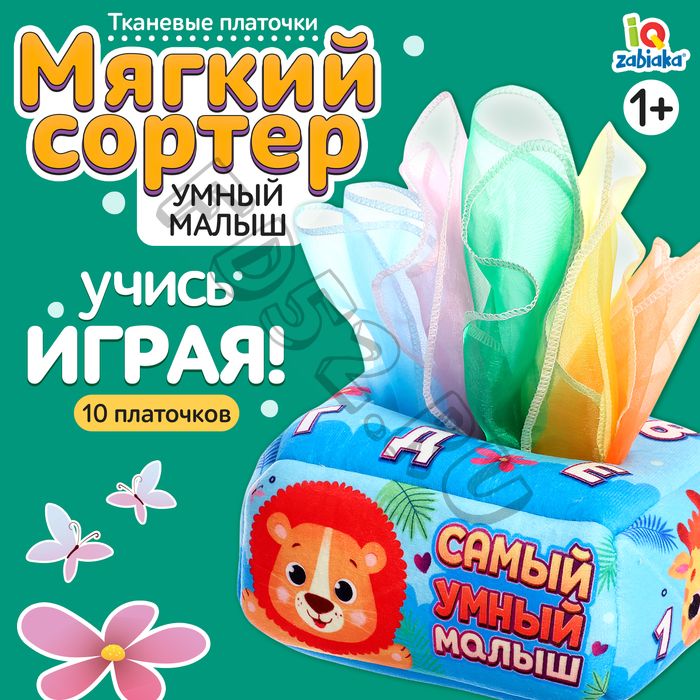 Сортер «Самый умный малыш»