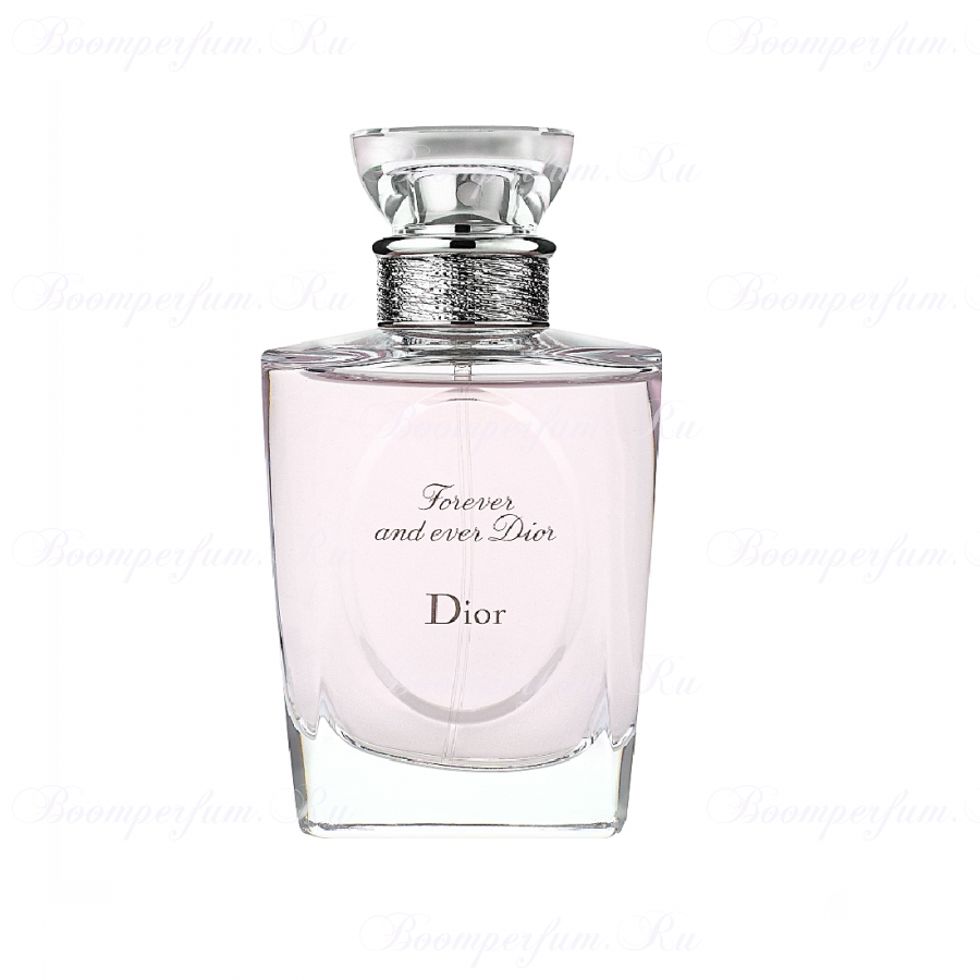 Christian Dior Forever And Ever Dior