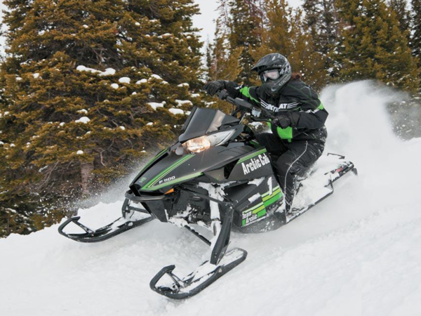 Arctic Cat F 1100 Sno Pro