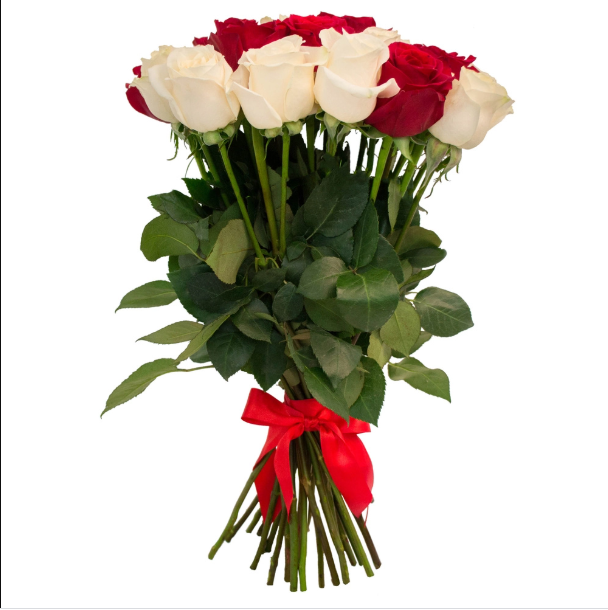 Розы красные и белые купить с доставкой в Новосибирске за 1639 рублей | «БукетСибири»